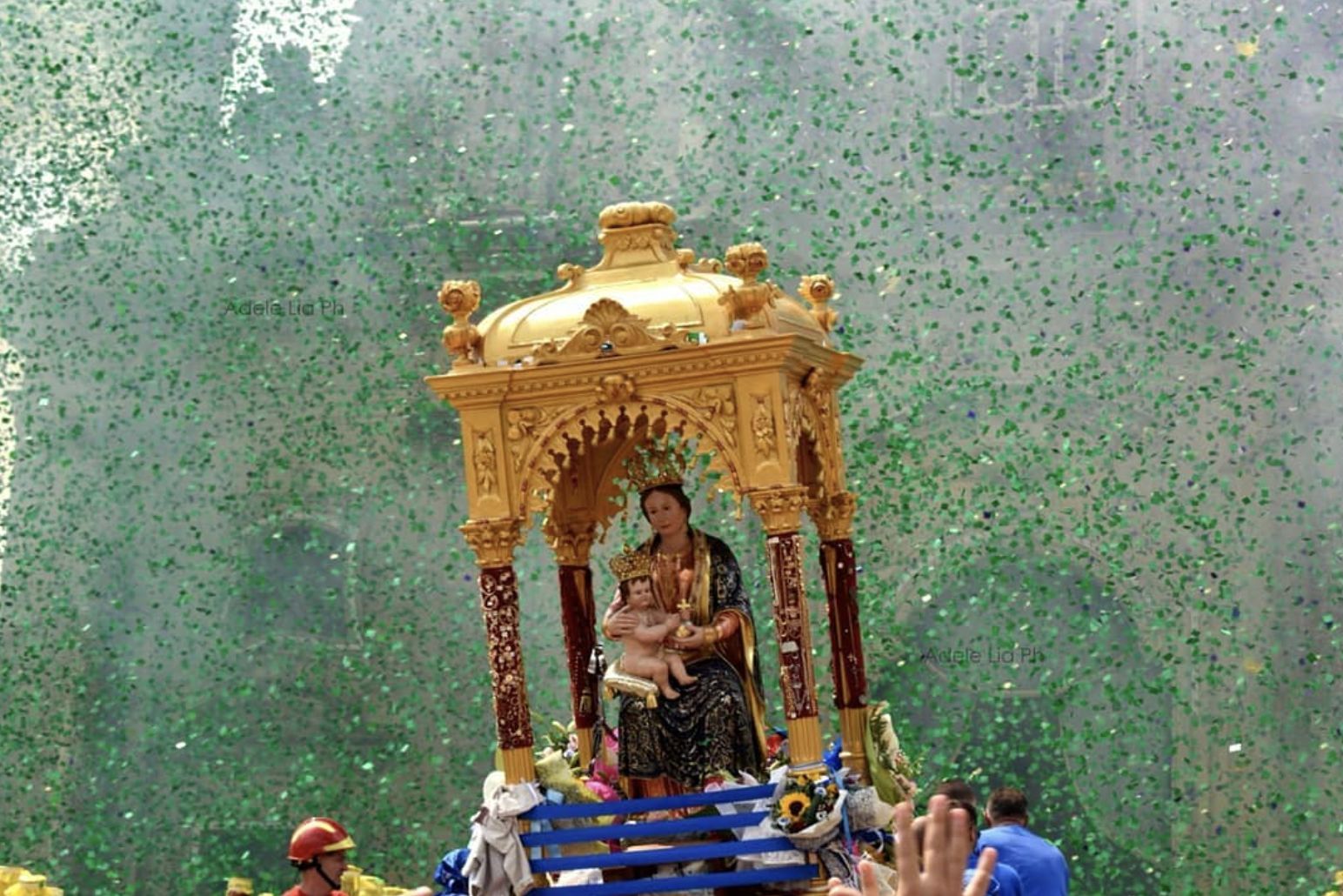 Festa della Madonna del Bosco